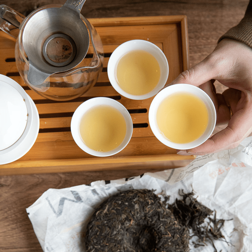 brewing shou puerh tea using traditional gaiwan method