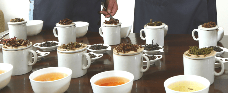 How to Taste Tea Like a Professional: A Beginner-Friendly Tea Tasting Guide