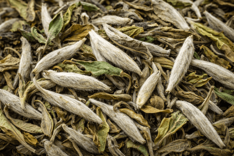 Bai Mudan White Tea Guide: Flavor, Origin, and Brewing