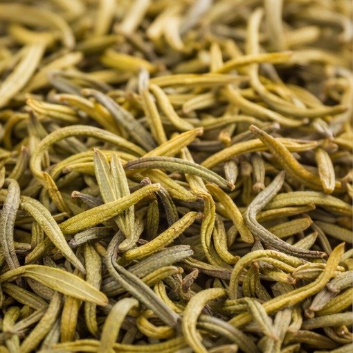 dried yellow tea leaves showing the characteristic yellow green color of chinese yellow tea