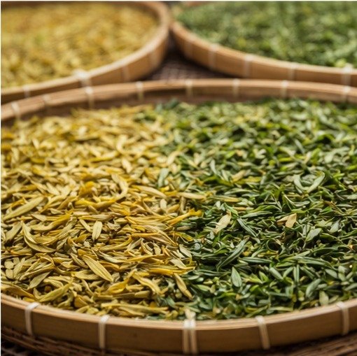 Yellow Tea Explained: Taste, History, and Brewing Guide